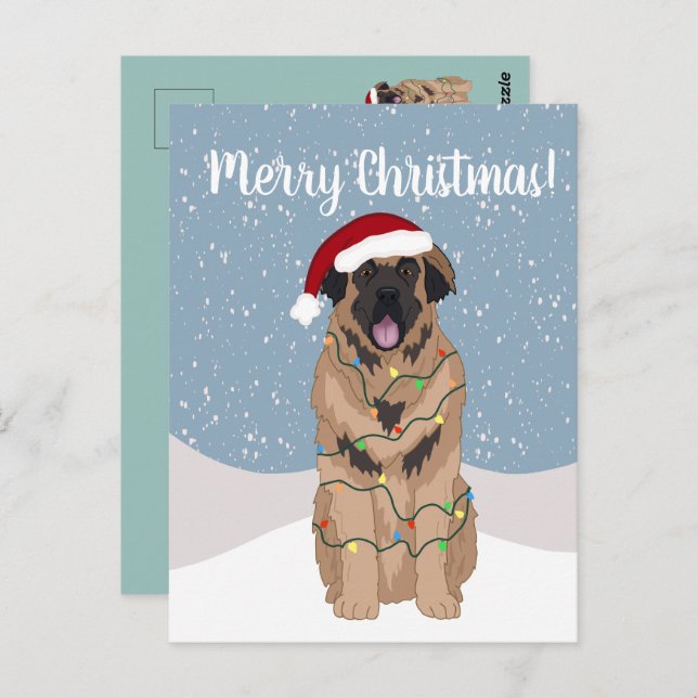 Christmas Leonberger  Postcard (Front/Back)