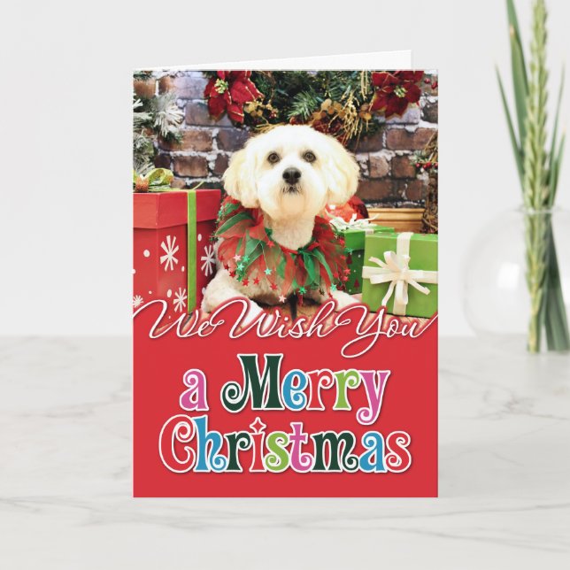 Christmas - Lhasa Apso - Jack Holiday Card (Front)