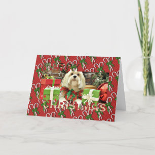 Christmas - Lhasa Apso - Muffie Holiday Card