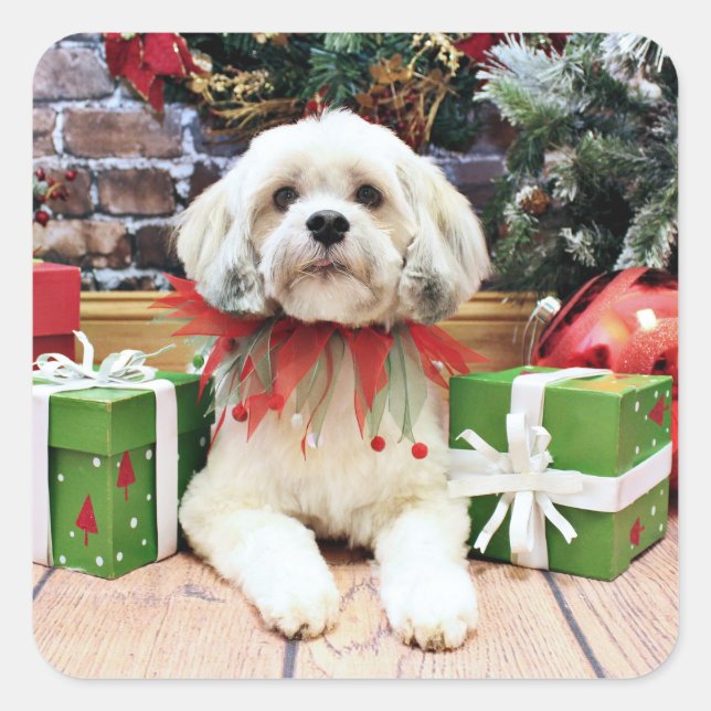 Christmas - Lhasa Apso - Muffie Square Sticker (Front)