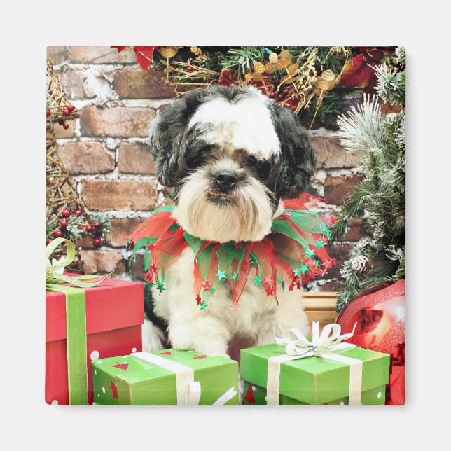 Christmas - Lhasa Apso - Parker Magnet (Front)