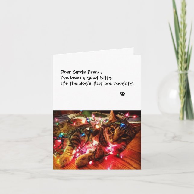 Christmas Lights Card - Dear Santa Paws (Front)