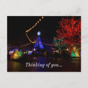 Christmas Lights Galore Holiday Postcard