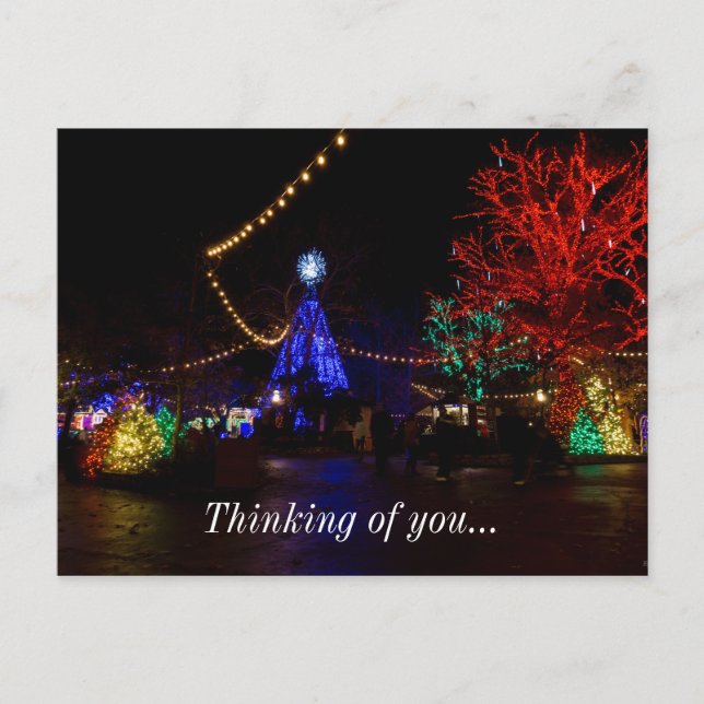 Christmas Lights Galore Holiday Postcard (Front)