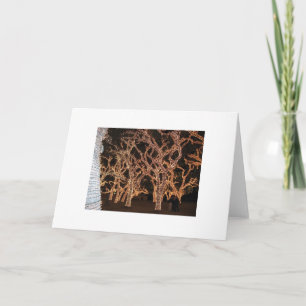Christmas Lights Holiday Card