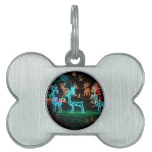 christmas lights pet tag