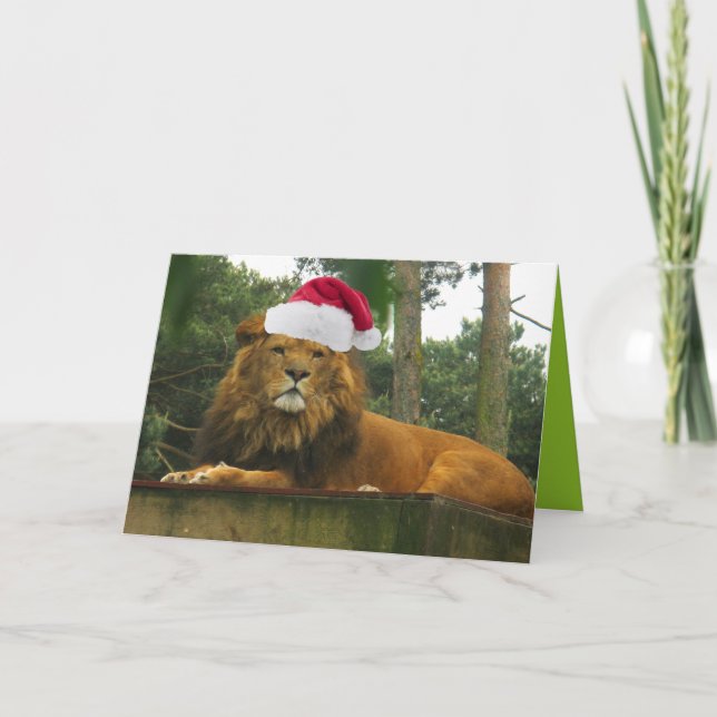 Christmas Lion Wearing Santa Hat Holiday Card (Front)