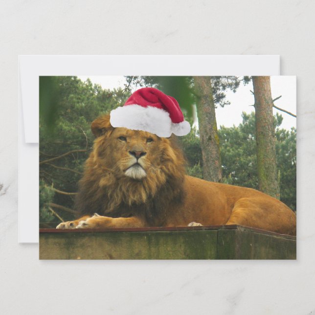 Christmas Lion Wearing Santa Hat Invitation (Front)