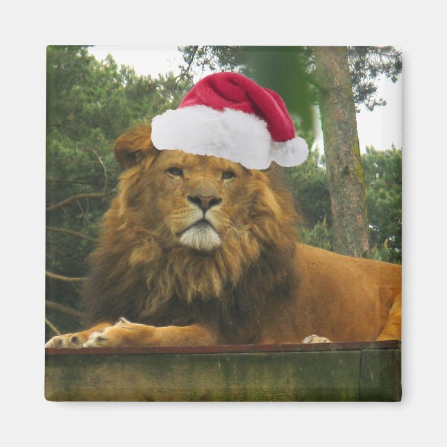 Christmas Lion Wearing Santa Hat Magnet (Front)