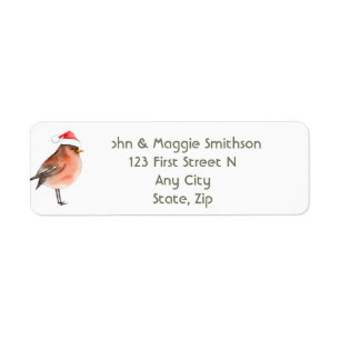 Christmas Little Bird Santa Hat Fun Birder
