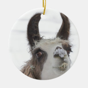 Christmas Llama with Snow on Nose for the Holidays Ceramic Tree Decoration
