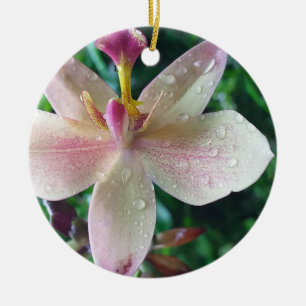 CHRISTMAS LOVE GIFT WOMEN , GIRLFRIEND MOM CERAMIC TREE DECORATION