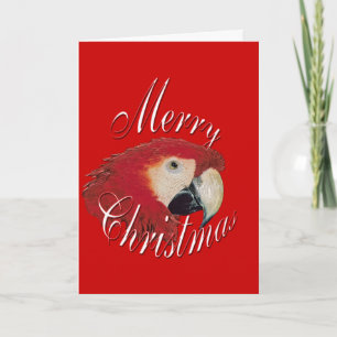 Christmas Macaw Holiday Card