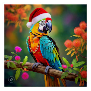 Christmas Macaw Wearing A Santa Hat-56485  Poster