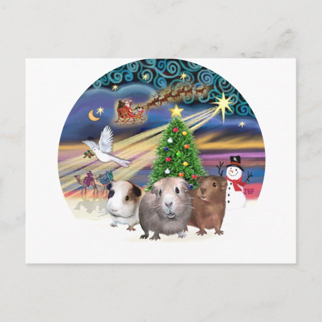 Christmas Magic - 3 Guinea Pigs Holiday Postcard (Front)