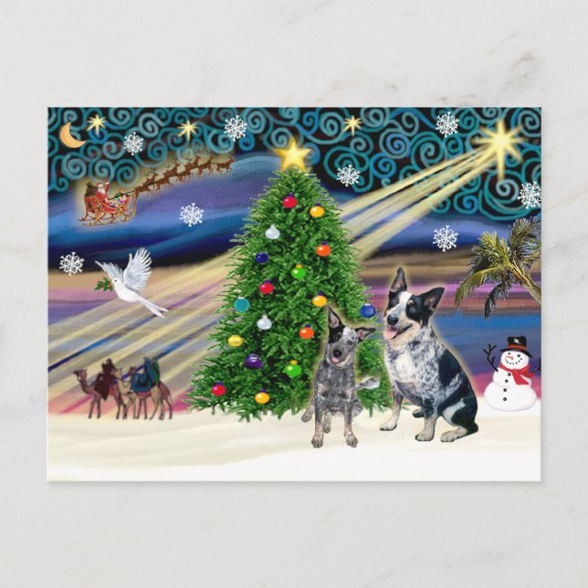 Christmas Magic Australian Cattle Dogs (two) Holiday Postcard (Front)
