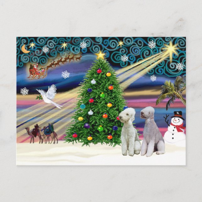 Christmas Magic Bedlington Terriers (two) Holiday Postcard (Front)