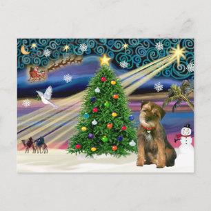 Christmas Magic Border Terrier Holiday Postcard