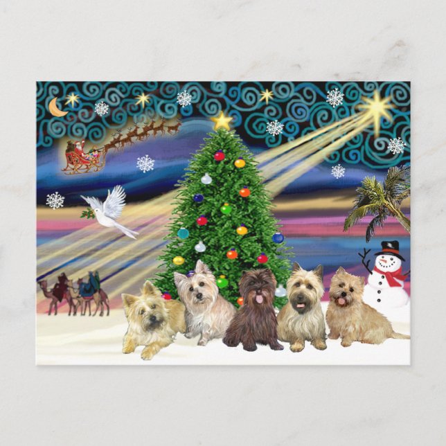 Christmas Magic Cairn Terriers (Five) Holiday Postcard (Front)