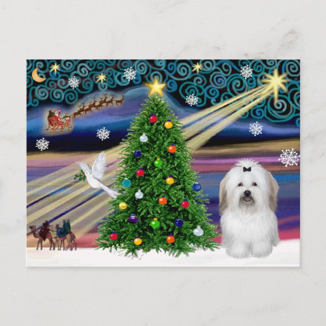 Christmas Magic Coton De Tulear Holiday Postcard (Front)