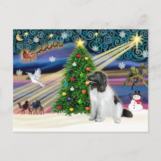 Christmas Magic Newfoundland (Landseer) Holiday Postcard (Front)