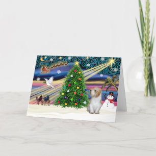 Christmas Magic Petit Basset 3 Holiday Card