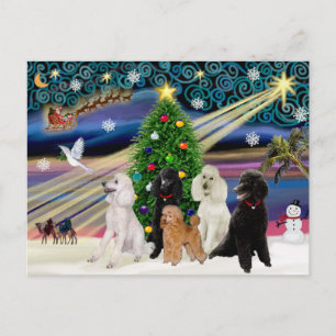 Christmas Magic Poodles - Standard (5) Holiday Postcard