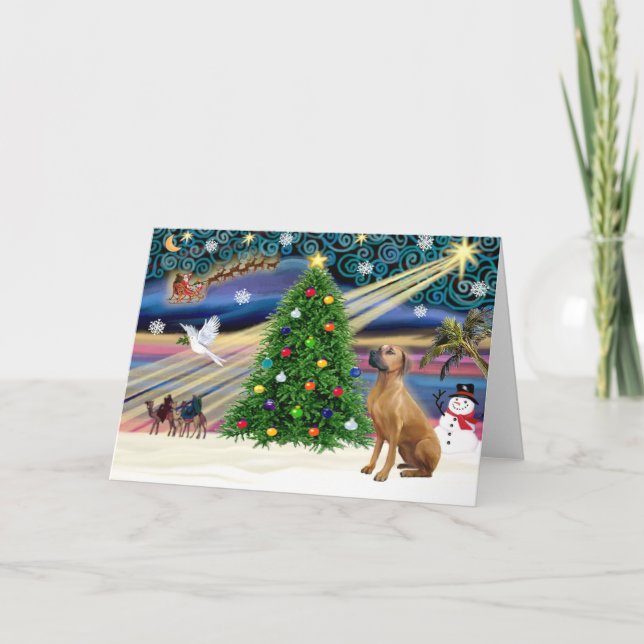 Christmas Magic Rhodesian Ridgeback 1 Holiday Card (Front)