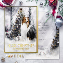 Christmas Magic, Saddleback Rough Collie & Lambs -