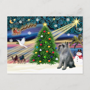 Christmas Magic Schnauzer (P-S Giant) Holiday Postcard