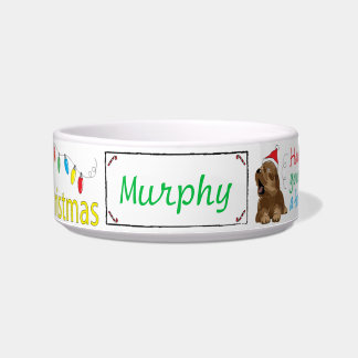 Christmas Medium DOG Pet Bowl "Furry Christmas"