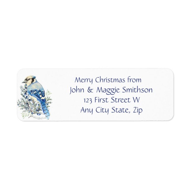 Christmas Message Blue Jay Bird Wildlife Art (Front)
