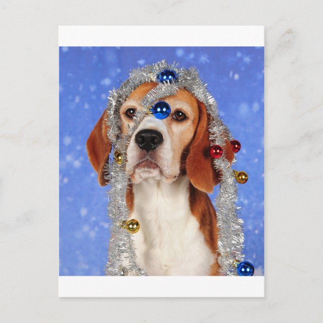 Christmas Mishap Holiday Postcard (Front)