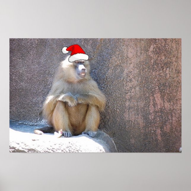 Christmas Monkeys and Baboons Poster (Front)