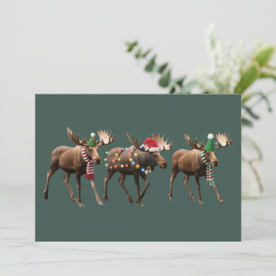 Christmas Moose Lover Reindeer Xmas Lights Holiday Card