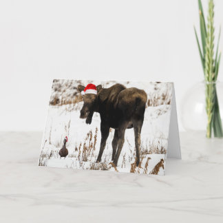 Christmas moose with duck holiday card.