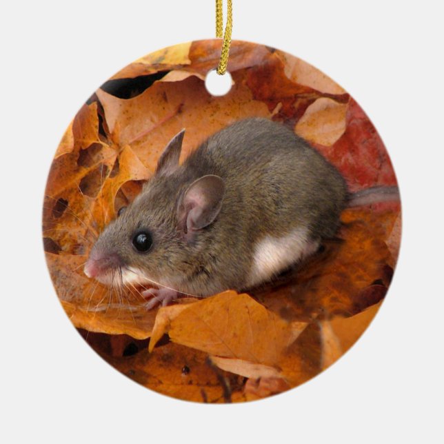 Christmas Mouse Ornament (Front)