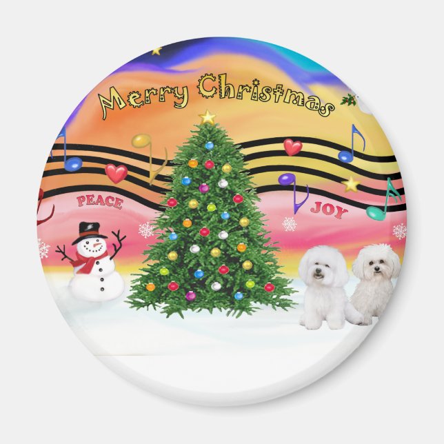 Christmas Music 2 - Bichon Frise (two) Magnet (Front)