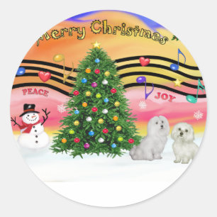 Christmas Music 2 - Maltese (two) Classic Round Sticker