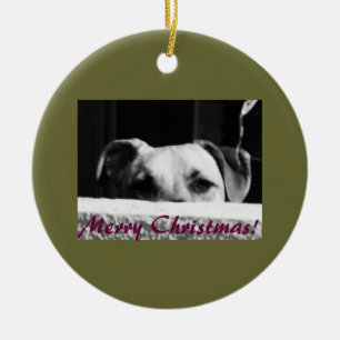 Christmas Mutt Ceramic Tree Decoration