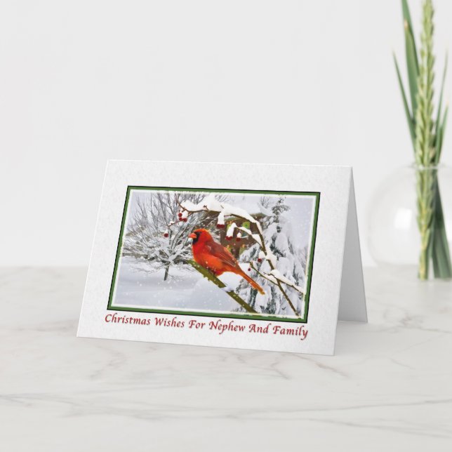 Christmas, Nephew and Family, Cardinal Bird, Snow Holiday Card (Front)