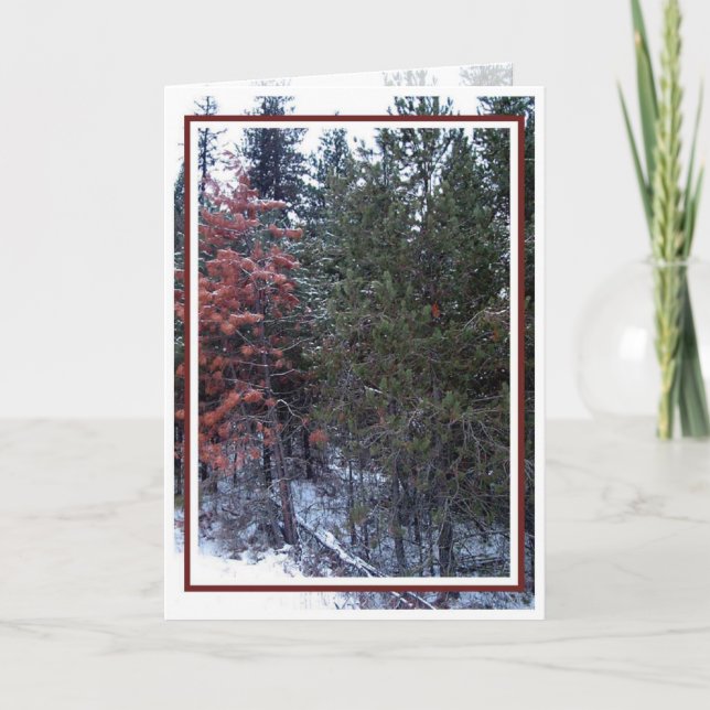 Christmas, New Year, Holiday - Blank (Front)