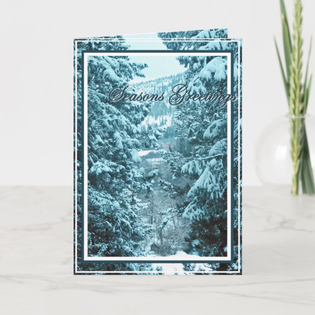 Christmas, New Year, Holiday - Snow Covered Trees (Front)