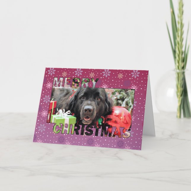 Christmas - Newfoundland - Izzie Holiday Card (Front)