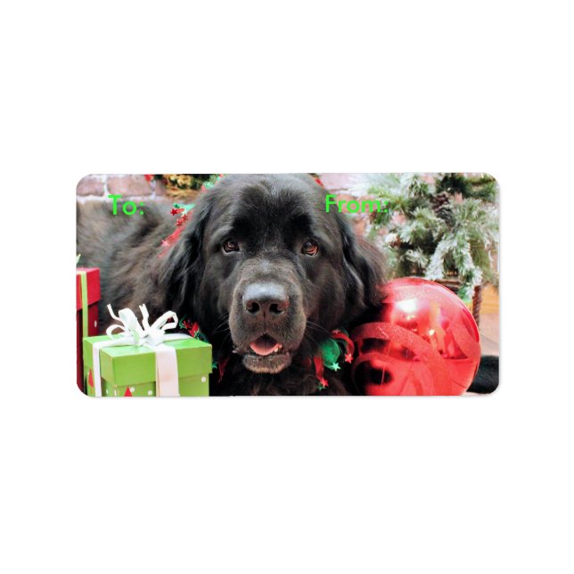 Christmas - Newfoundland - Izzie Label (Front)