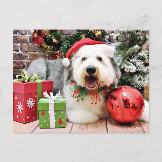Christmas - Old English Sheepdog - Alphy Holiday Postcard (Front)