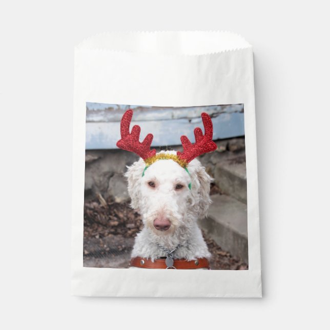 Christmas Ollie Favour Bags (Front)