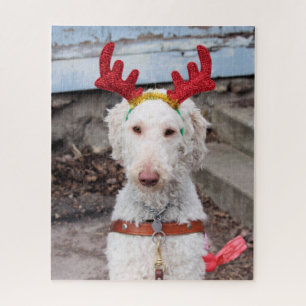 Christmas Ollie Jigsaw Puzzle