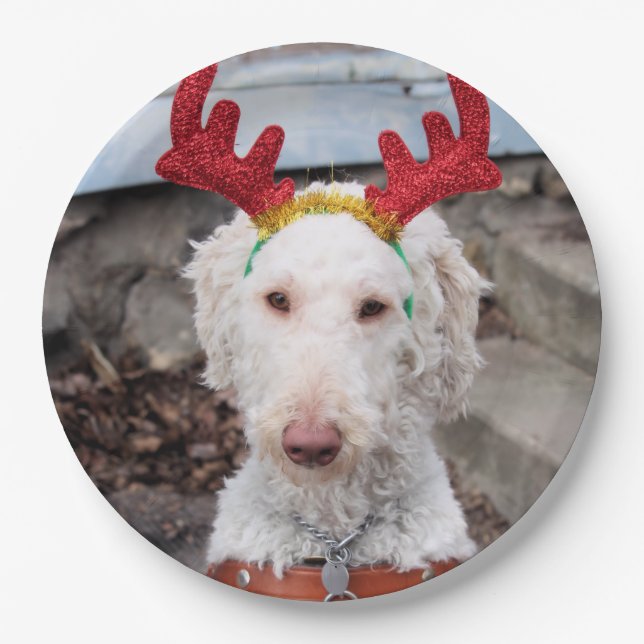 Christmas Ollie Paper Plate (Front)