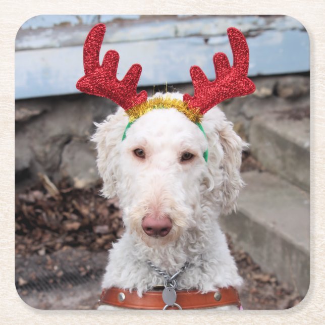 Christmas Ollie Square Paper Coaster (Front)